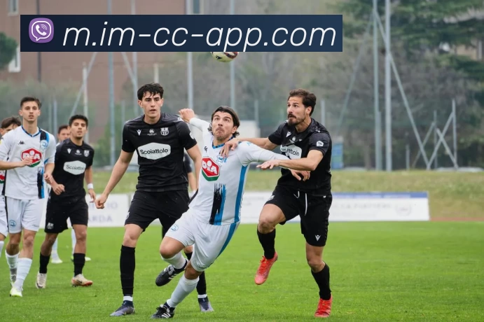 IM体育服务体系